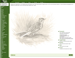 Vogelvisie
