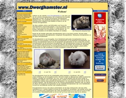 Dwerghamsters